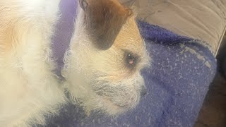 GOOD EVENING EVERYONE LEE,LOO SAYS HI PLEASE SIGN THE PETITION TODAY 🙏
