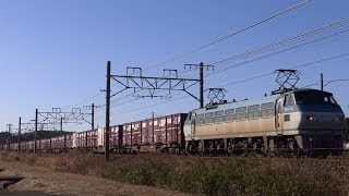 JR貨物 5091レ EF66-122[吹]号機＋コキ20B 貨物コンテナ満載 2014.02.22