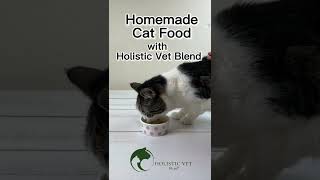 Homemade Cat Food with Holistic Vet Blend (25% OFF on all products) #shorts