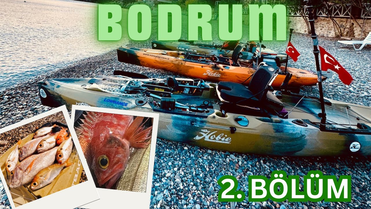 Bodrum Macerası Devam Ediyor! 2. Bölüm - Çeşit Çeşit Balık Tuttuk !