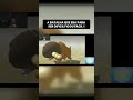 Era pra ser difícil… ficou FÁCIL 😳#pokemon  #games #shorts #gaming #pokemonnuzlocke #nuzlocke #gamer