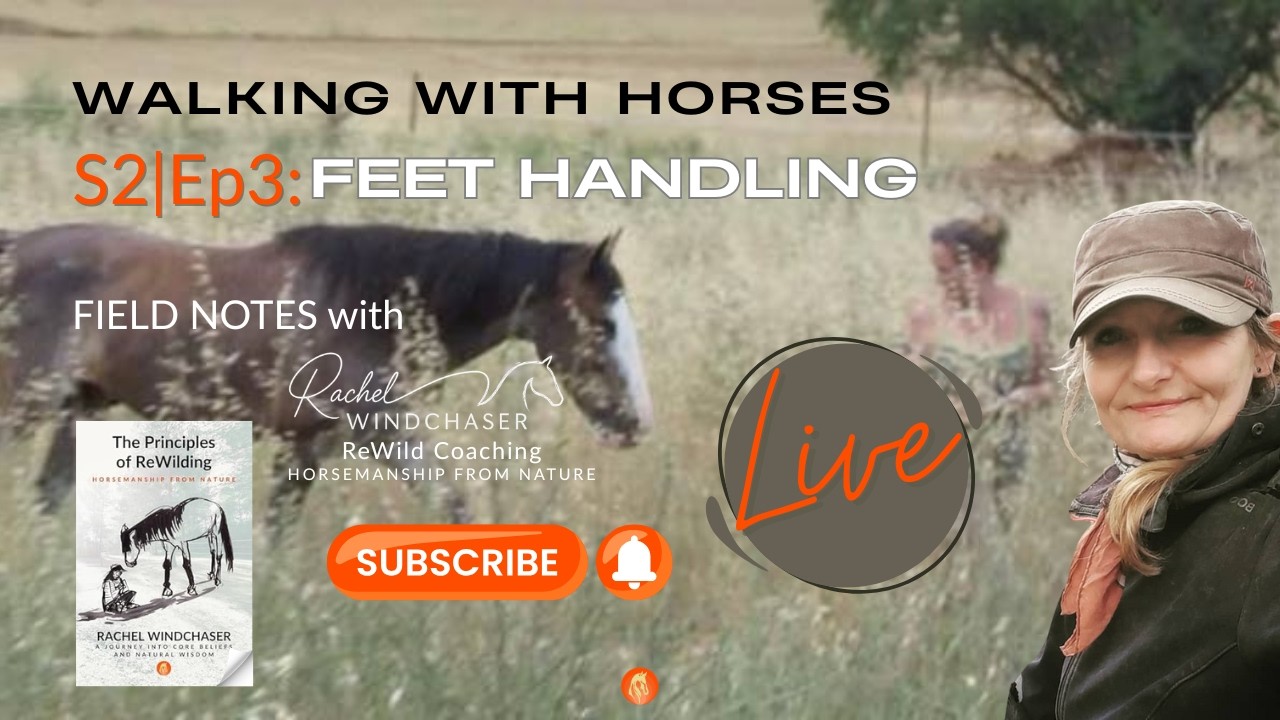 SE2:EP3 Why Your Horse Hates Having Their Feet Picked Up, It’s Not What You Think