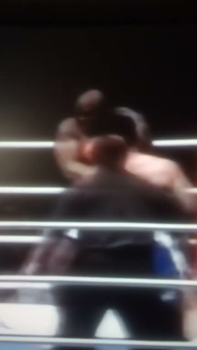 Bob Sapp (USA) vs Ray Sefo (New Zealand)