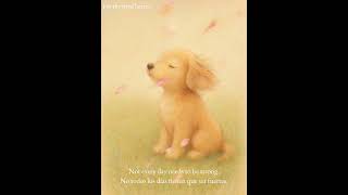 A Soft Reminder  Un Recordatorio Suave #lofi  #aesthetic #healing screenshot 2