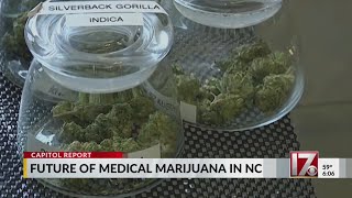 Medical marijuana dispensary opens on 4/20 with NC bill still pending