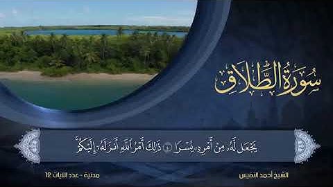 سورة  الطلاق  مكتوبة للشيخ أحمد النفيس / المصحف المرتل كاملا