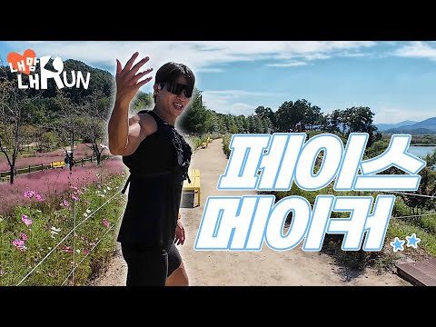 🏃내맘내런in함안🏃‍♀️악양생태공원 3.4km 러닝