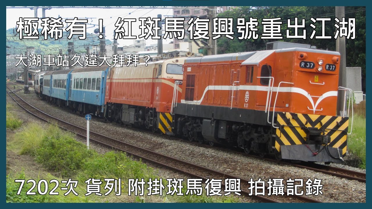 【剪輯紀錄 斑馬復興再現】極稀有！紅斑馬復興號再度重出江湖 大湖車站大拜拜？ 7202次 貨列 附掛斑馬復興 拍攝記錄 | 2024年6月20日