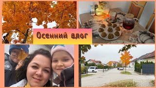 видео: Жизнь в Германии🇩🇪.Первый Vlog.Прогулка🍁.Готовлю пирожное Муравейник🧁#вгермании#красиваяосень#herbst картинка: Жизнь в Германии🇩🇪.Первый Vlog.Прогулка🍁.Готовлю пирожное Муравейник🧁#вгермании#красиваяосень#herbst