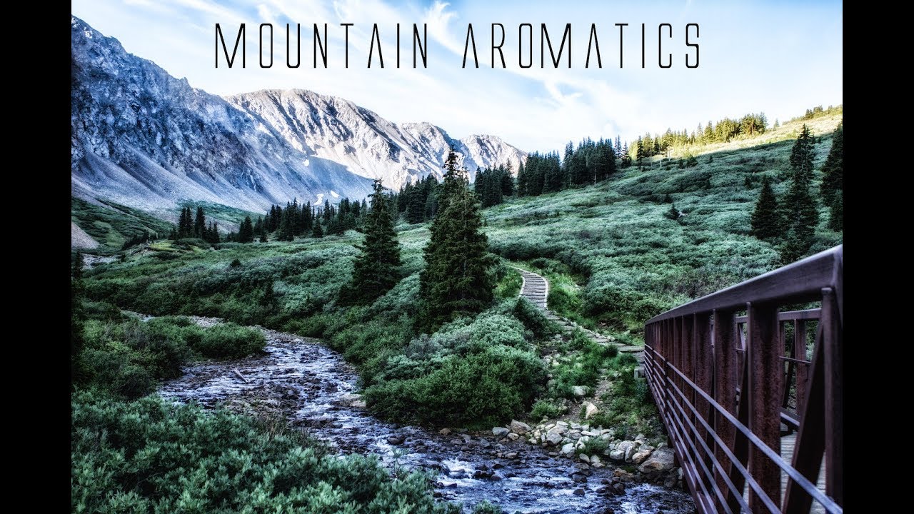 Who is Mountain Aromatics? Dave in Denver!!!