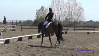 113D Ruth Bley On Envogue Sr Training Amateur Dressage Woodside August 2014
