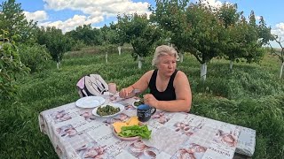 ПЛАНЫ НА СЕГОДНЯ / ЖИЗНЬ В ДЕРЕВНЕ 