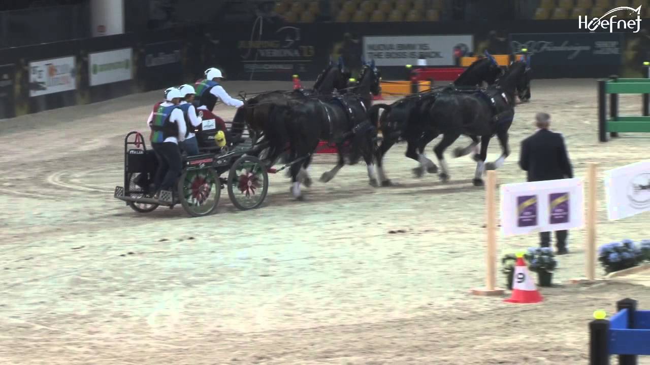 Carlo Mascheroni First Competition CAI-W Verona 2013