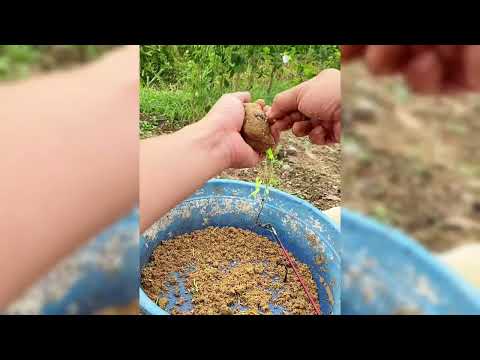 Ký sự cần thủ - T28