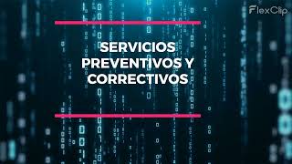 Basculas Y Componentes