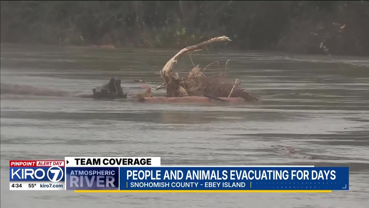 People and animals evacuating for days amid WA floods