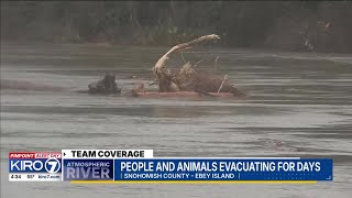 People and animals evacuating for days amid WA floods