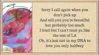 Lany ~ DNA Lyrics Easy