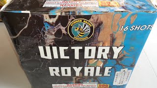 Victory Royale 500g Cake Firework Demo - Stinger Brand Fireworks