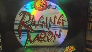 1️⃣0️⃣shot 500gram: RAGING MOON🌝 ( Golden Bear🐻)