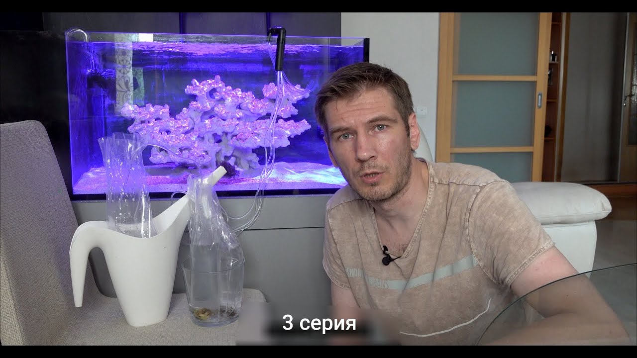 Запуск морского аквариума. 3 серия  Водоросли