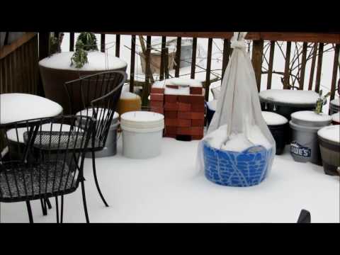 We are Launching Our First Gardening Coast2Coast Video with a Seed Giveaway! 