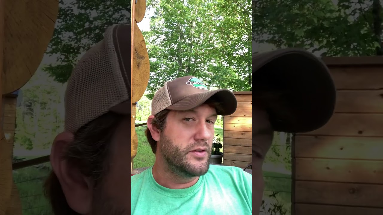 Solar FAQ: Do solar panels make a sound?