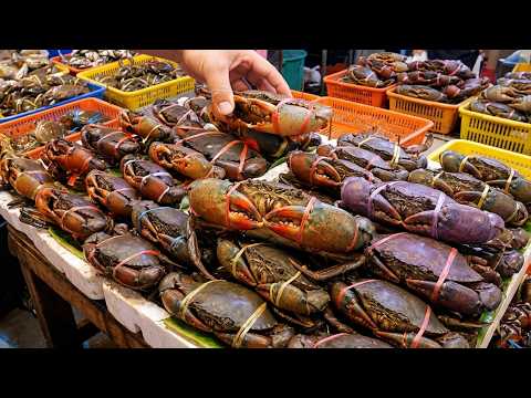 Premium crabs! MUST TRY FEMALE CRAB Stir-fried Noodles  | Seafood