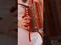 Lu primm’ammore - Organetto della Noce Abruzzese #accordion #folk #organetto