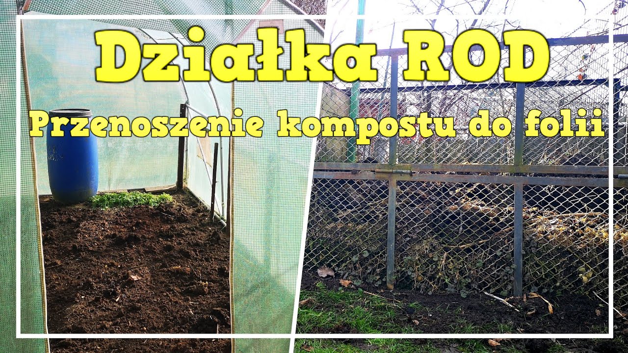 2# Przygotowania do sezonu / kompostownik / przeniesienie kompostu do folii / Działka ROD /