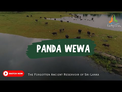 Panda Wewa | The Forgotten Ancient Reservoir of Sri Lanka #travel #visitsrilanka #destination