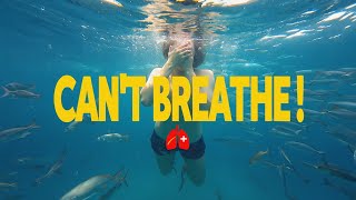 Why Can’t We Breathe Underwater? | 1 Minute School#ScienceExplained #OxygenFacts #1MinuteSchool