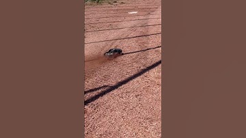 Mojave Grom 223s BLX NEW TIRES - OUT FOR RIP #arrma #rc #mojave #fun #outside