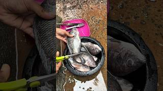 ഇവിടിപ്പോ മൊത്ത൦ ഈ മീനാണ്🐟@Uncutdiaries #youtube #shortsfeed #cooking #viralshorts #food #shorts