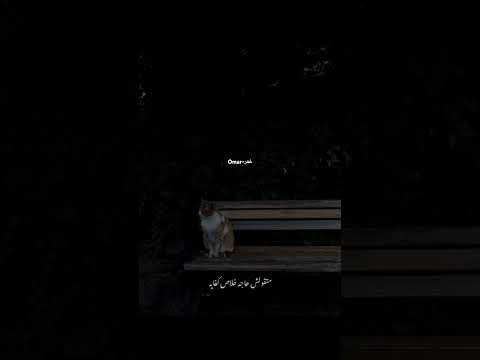 لما انت قلبك مش عشاني ريلز انستغرام اصالة نصري سوريا لبنان فلسطين الأردن العراق