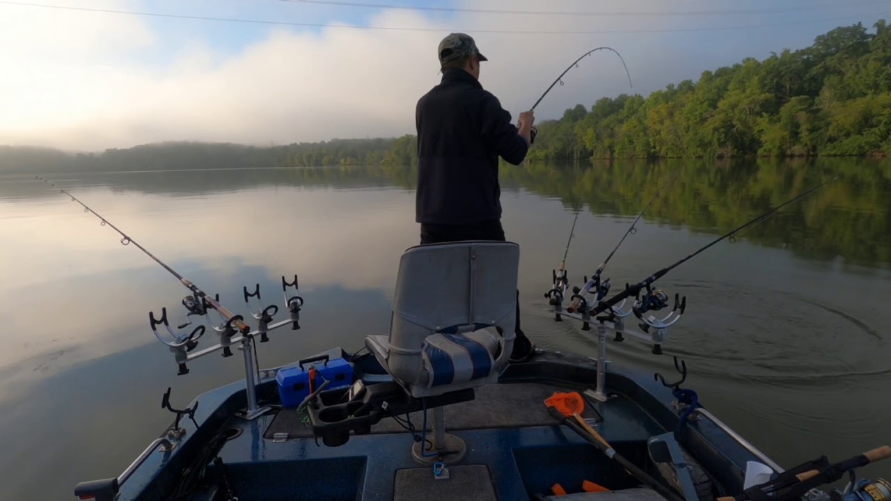 Striper and catfish at Lake Hickory YouTube