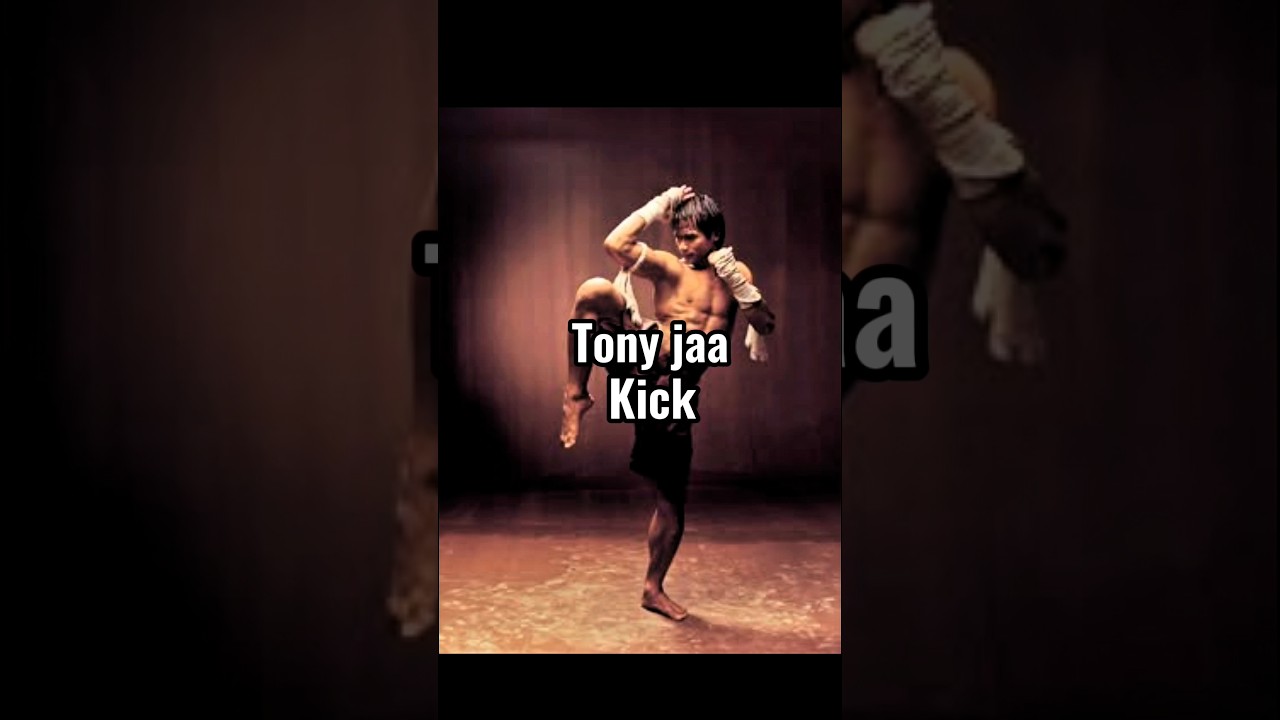 TONY JAA 720 kick 