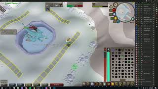 3 Trip Woox Walk Vorkath, Blowpipe+Blessed D'hide