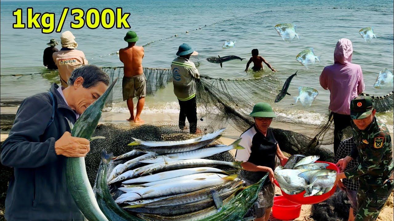Ngư Dân Thanh Khê Trúng Mánh Cá Xương Xanh Khủng || Mẻ Cá Chim Trắng ...