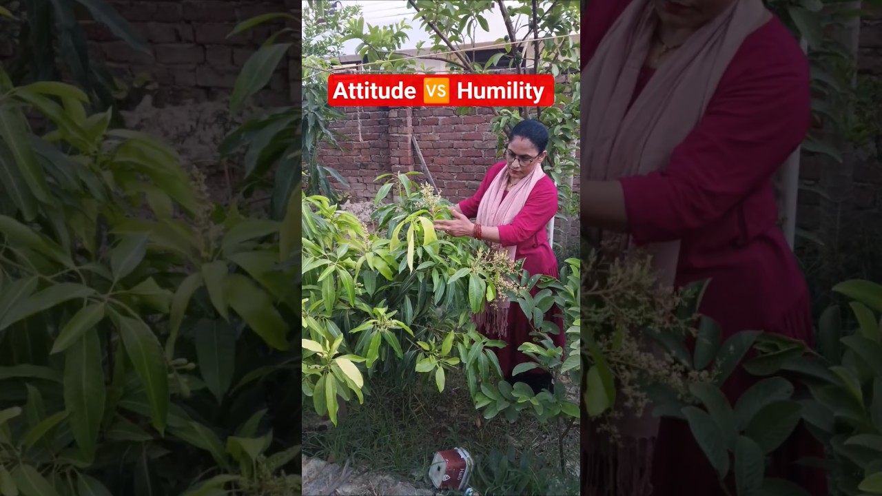 कितना down to earth है#garden#gardening#plants#plantation#plantsofindia#trendingshort#viralshorts#yt