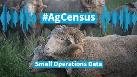 Why the Census of Agriculture Collects Data from Small Operations