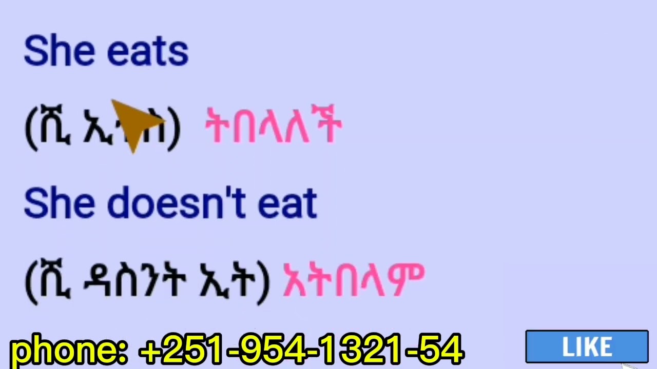 Simple present english phrases/ ዘወትር የሚካሄዱ ድርጊቶች በእንግሊዝኛ ሲገለፁ