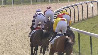 Vidéo de la course PMU PRIX PHILIPPE DE WATRIGANT