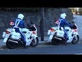 交機 白バイ 二台同時緊急走行!! 違反者取締の様子 [HD] Japan police motorcycle emergency vehicle!!