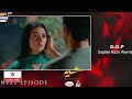 Sher Episode 21 | Teaser | Danish Taimoor | Sarah Khan | ARY Digital Drama