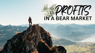 PROFITS IN A BEAR MARKET - IMPORTANT PASSIVE INCOME PLATFORM UPDATES!!