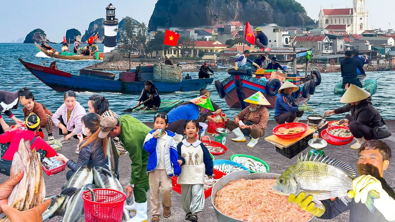 Đảo Nghi Sơn Thanh Hóa Mùa Lặn Tôm He║Cuộc Sống Đảo Giữa Mùa Đông