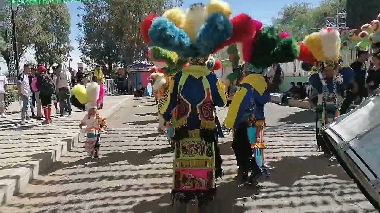 Casta De Guerreros Toltecas de Ags 