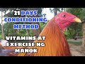 21 days conditioning method vitamins  exercise ng mga manok  balerians gameyard