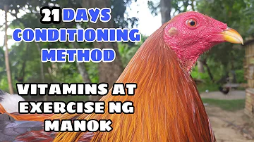 21 DAYS CONDITIONING METHOD! vitamins & exercise ng mga manok || BALERIANS GAMEYARD